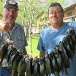 2 smiling men hold up a long stringer of crappie fish