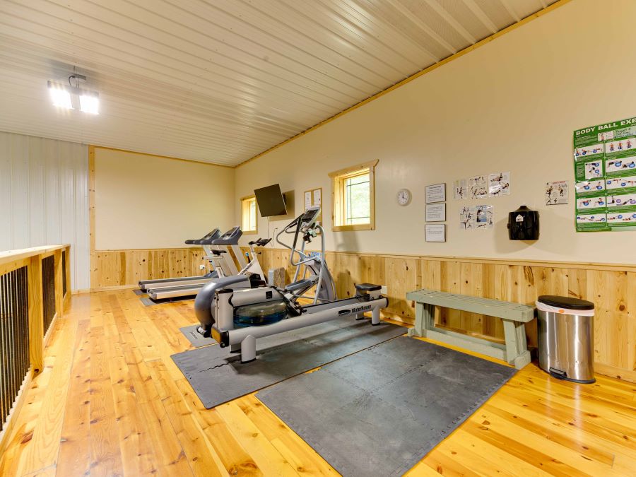 Exercise area with 2 treadmills, stair master, rowing maching, bench, satellite TV and 2 windows