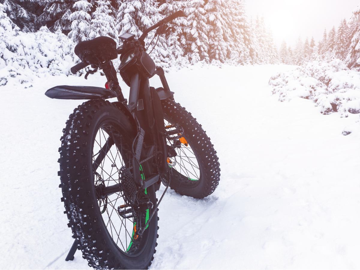 Fat tire biking on a snow covered trail near the woods is one of the top things to do in the winter