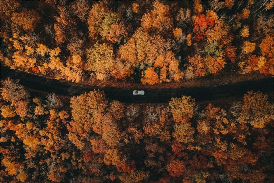 A thin strip of road seen from the sky, with bright fall trees on either side. A single white van drives through the dark scene.