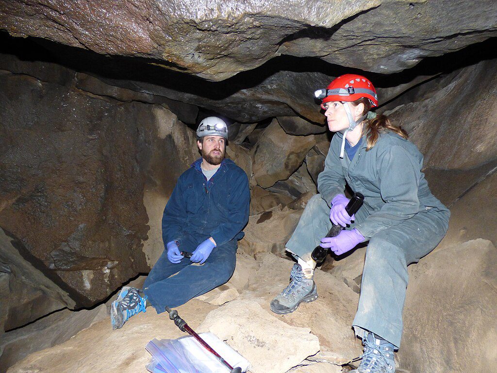 Researchers in a cave looking for white nose syndrome