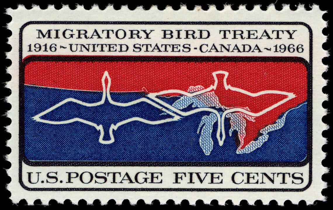 Image of a 5 cent Us stamp with the outlines of flying ducks