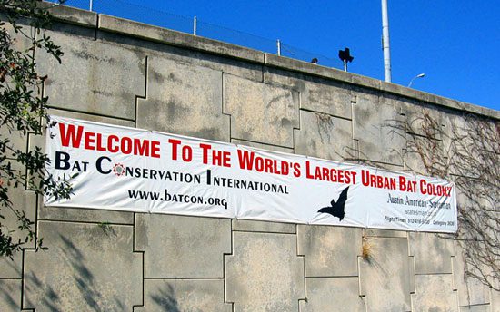 An image showing a banner on the side of South Congress bridge in Downtown Austin, Texas where people gather to watch over a million and a half bats take flight. It says welcome to the worlds largest urban bat colony