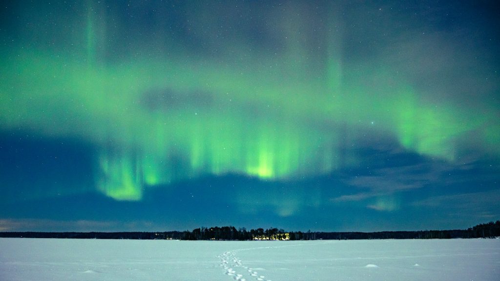 Northern lights in the sky