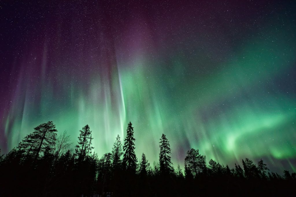 Northern lights in the sky