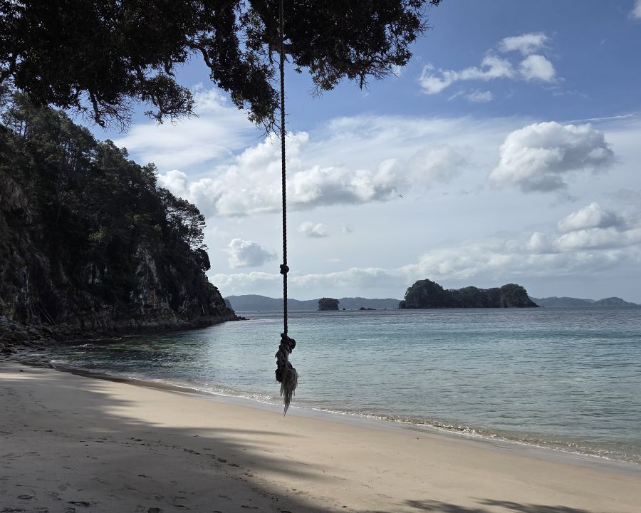 A rope swing hangs on a beautiful tropical beach