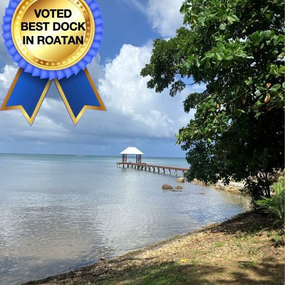 Private beach with tropical trees and a private dock with palapa in Roatan, Honduras